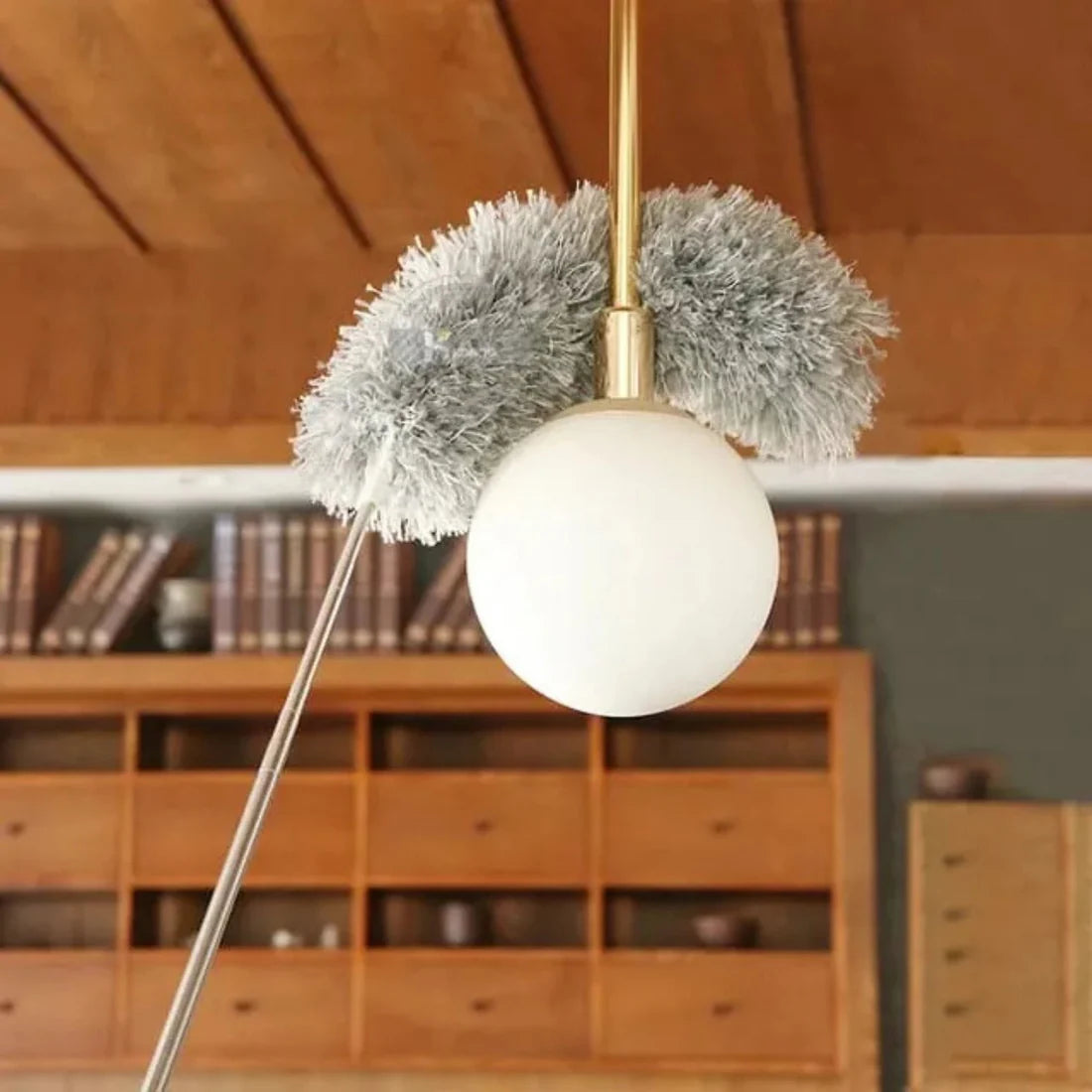 Dust remover with long handle